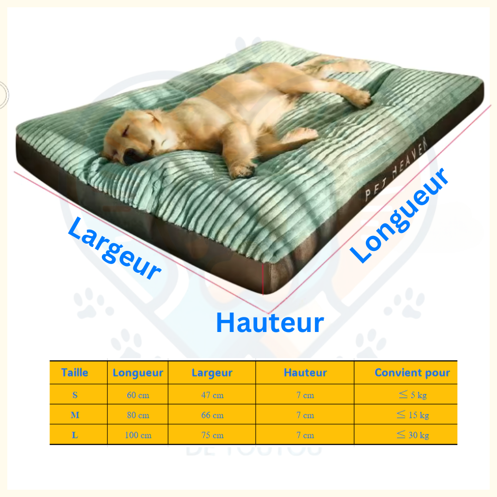 Coussin Confort pour Chien – Rembourrage Ultra Moelleux & Velours Élégant | DouxZenNest™