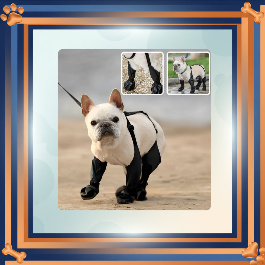 Bottes pour chien