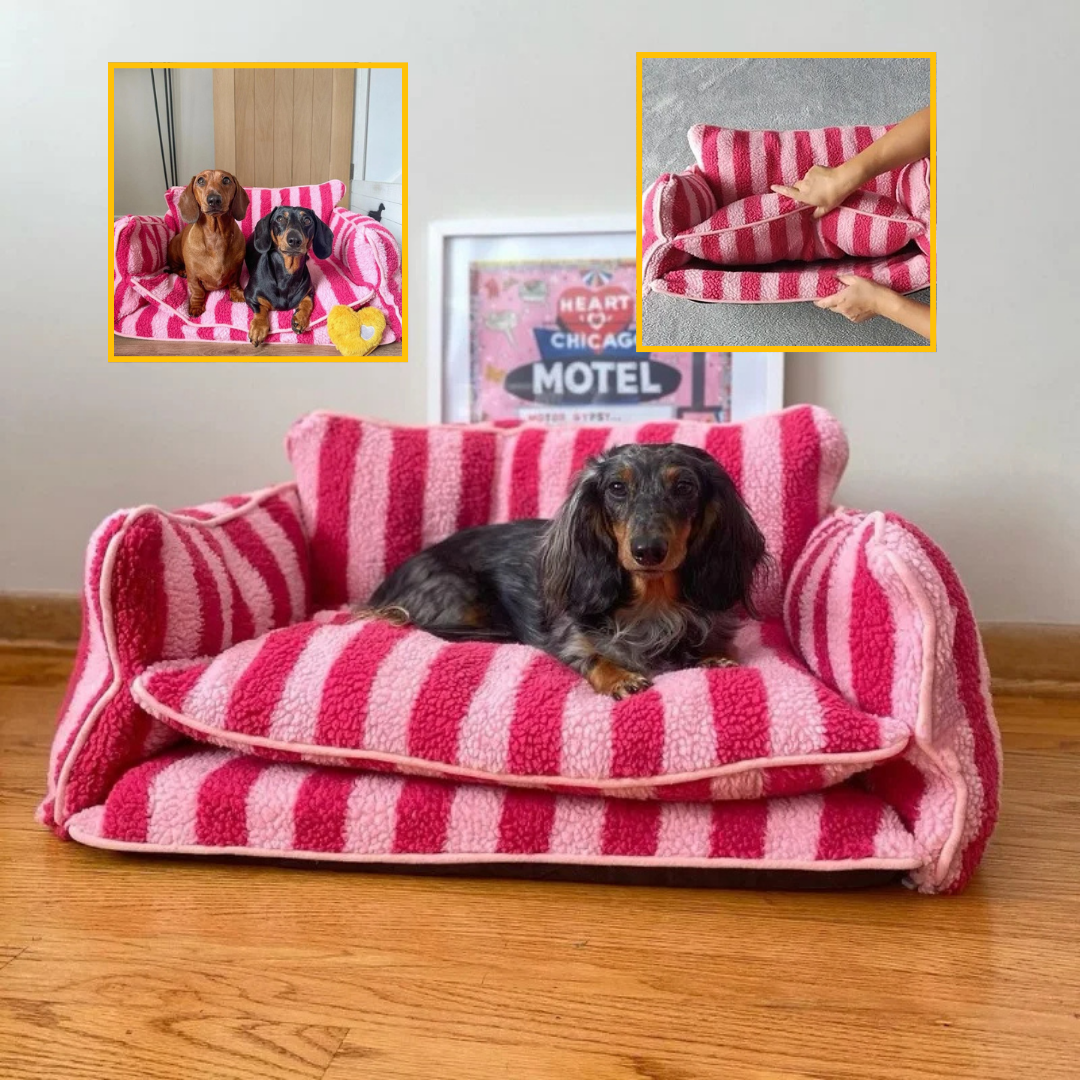 Canapé pour chien orthopédique | CozyLamb™