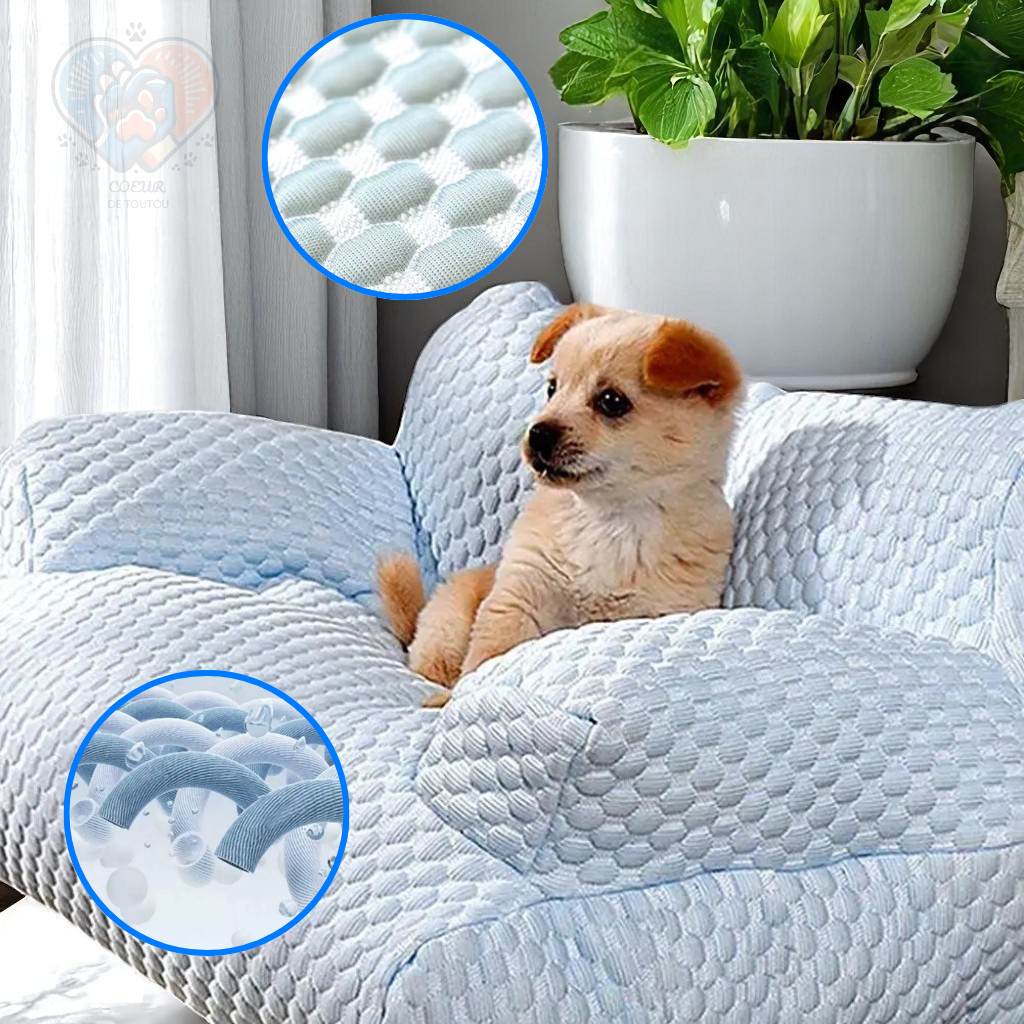Canapé pour Chien Rafraîchissant | Nuage Polaire™