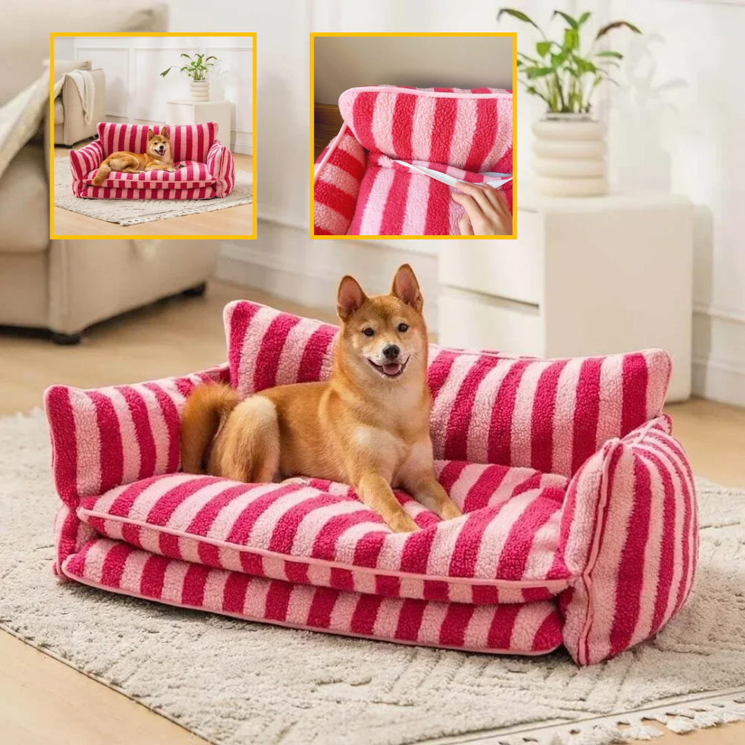 Canapé pour chien orthopédique | CozyLamb™