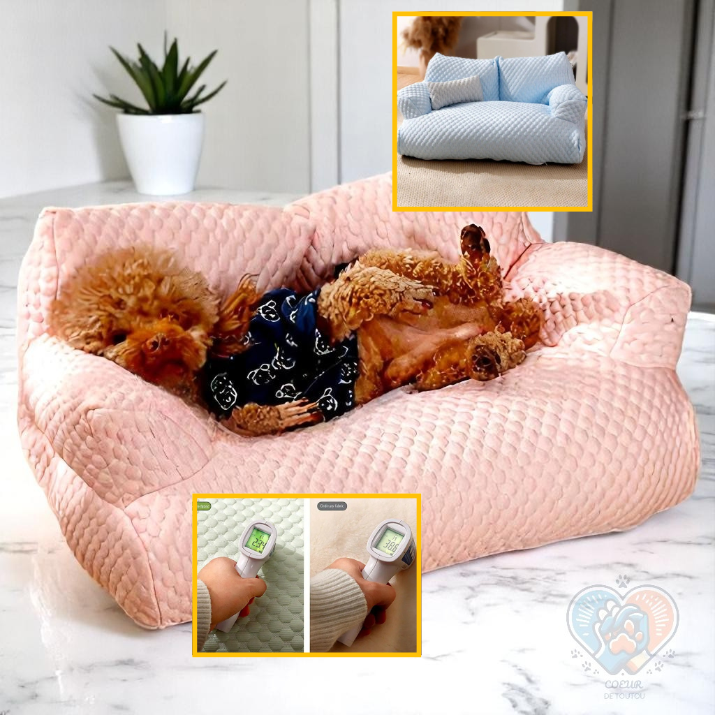 Canapé pour Chien Rafraîchissant | Nuage Polaire™