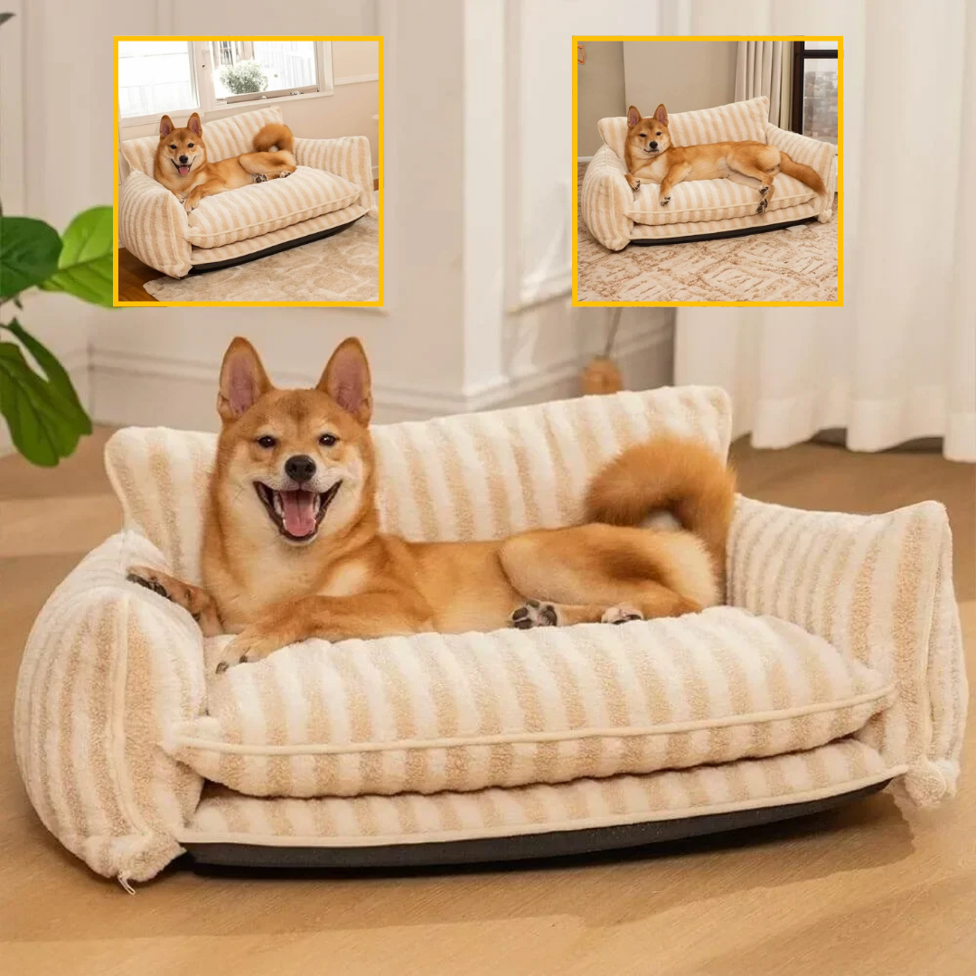 Canapé pour chien orthopédique | CozyLamb™