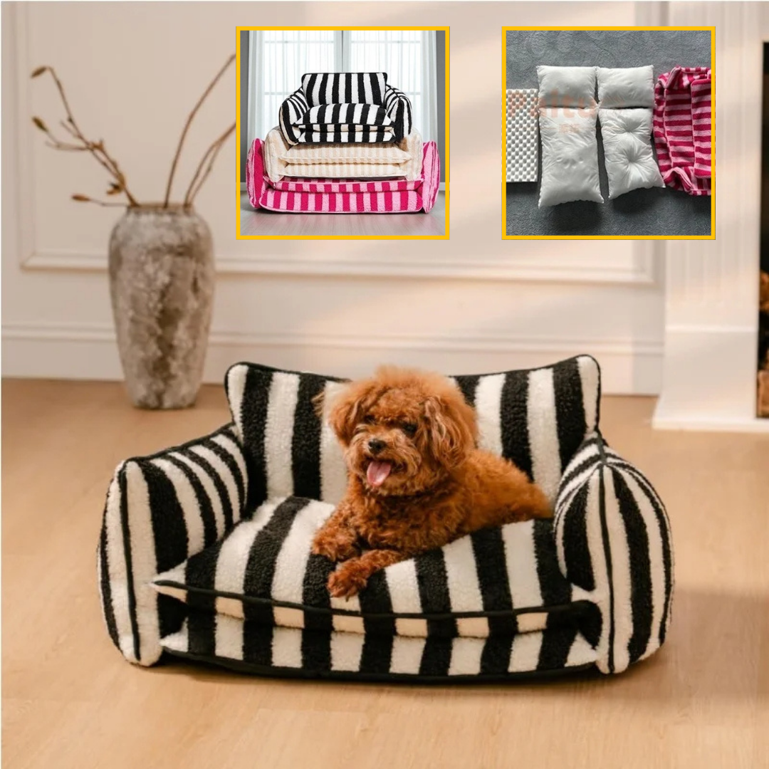 Canapé pour chien orthopédique | CozyLamb™