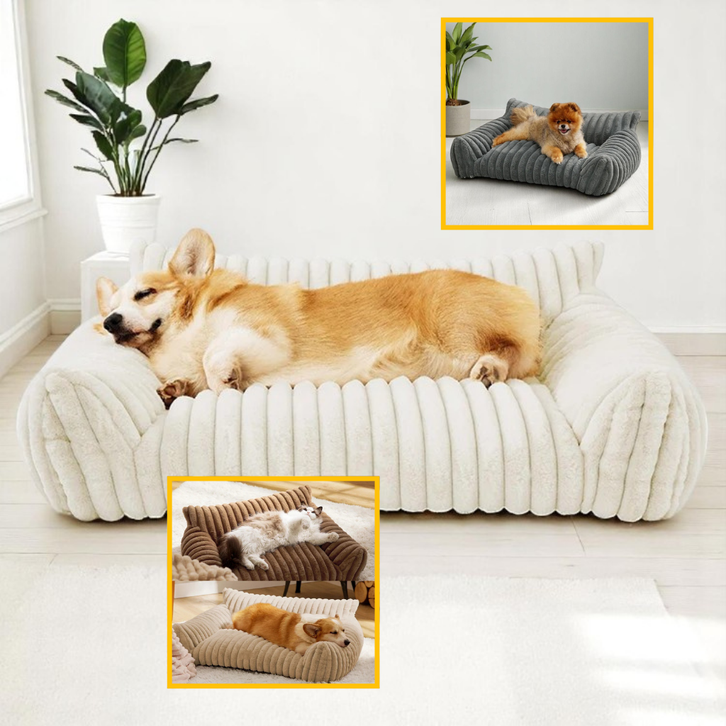 Canapé pour chien | LoulouPlay™