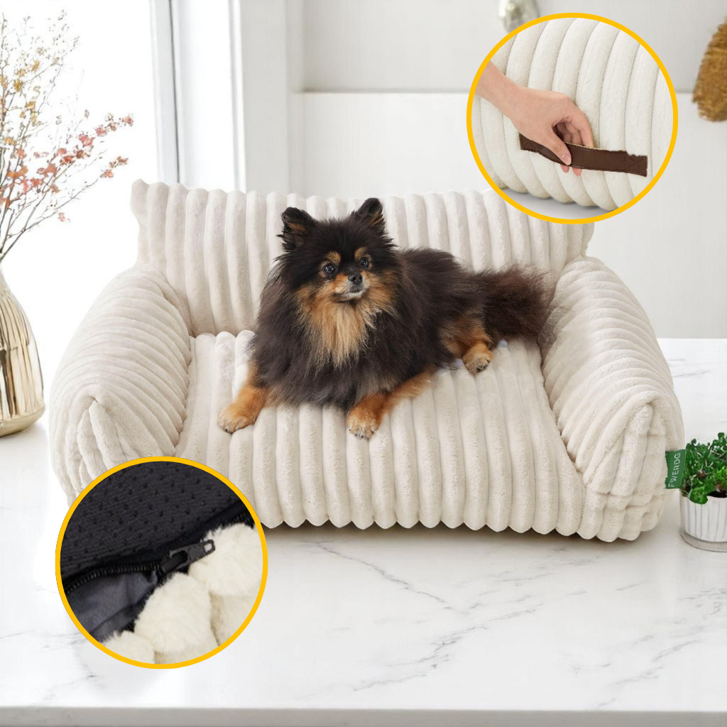 Canapé pour chien | LoulouPlay™