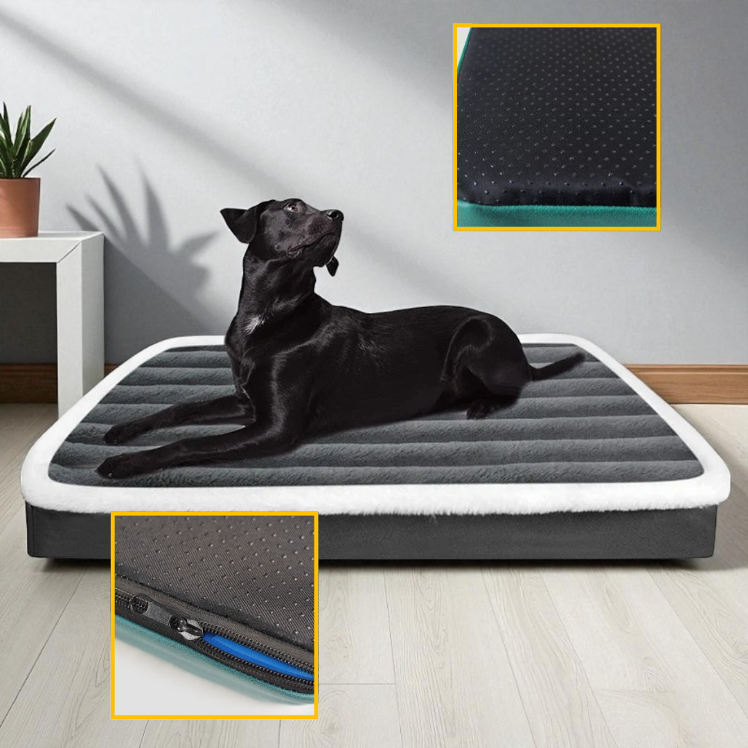 Coussin orthopédique pour chien grande taille | Snooziva™