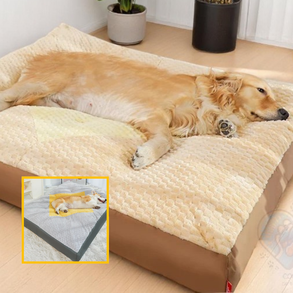 Coussin Grand Chien Déhoussable | SoftRest™