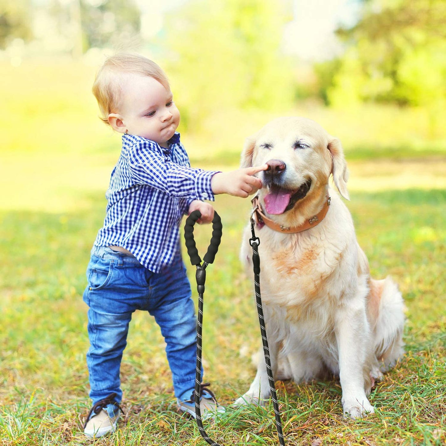 LaisseEduc™ - Corde en Nylon pour chien | Chien - Coeur de Toutou