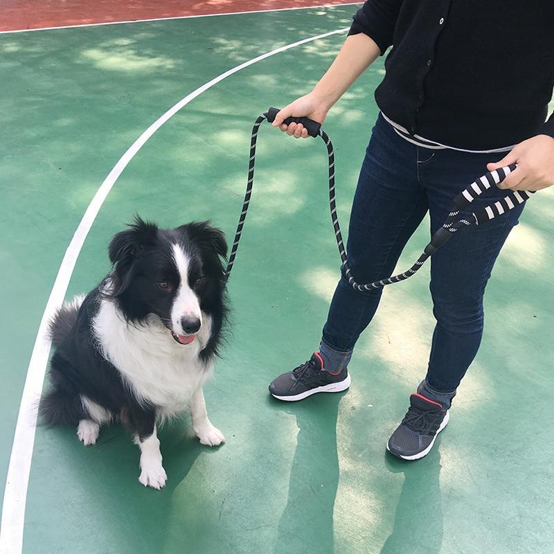 LaisseEduc™ - Corde en Nylon pour chien | Chien - Coeur de Toutou
