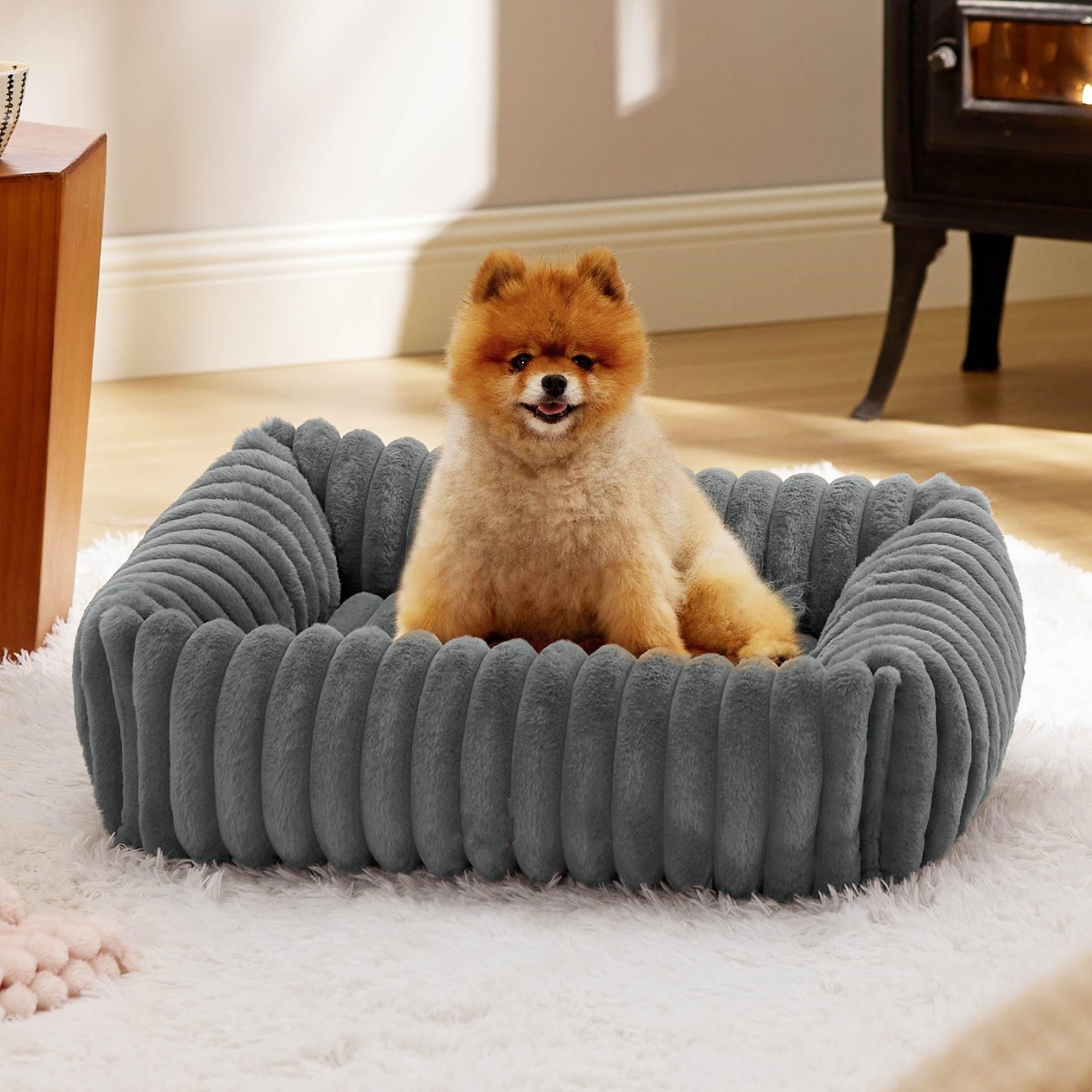 panier-chien