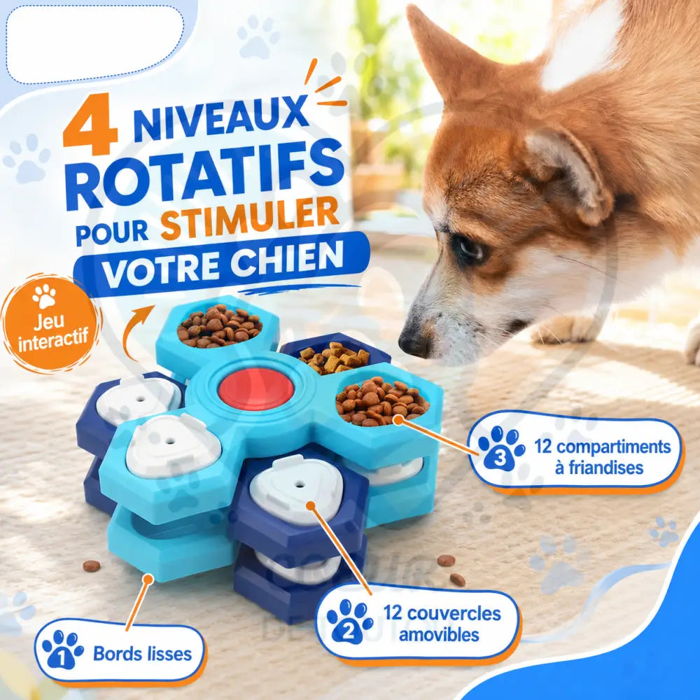 gamelle anti glouton chien