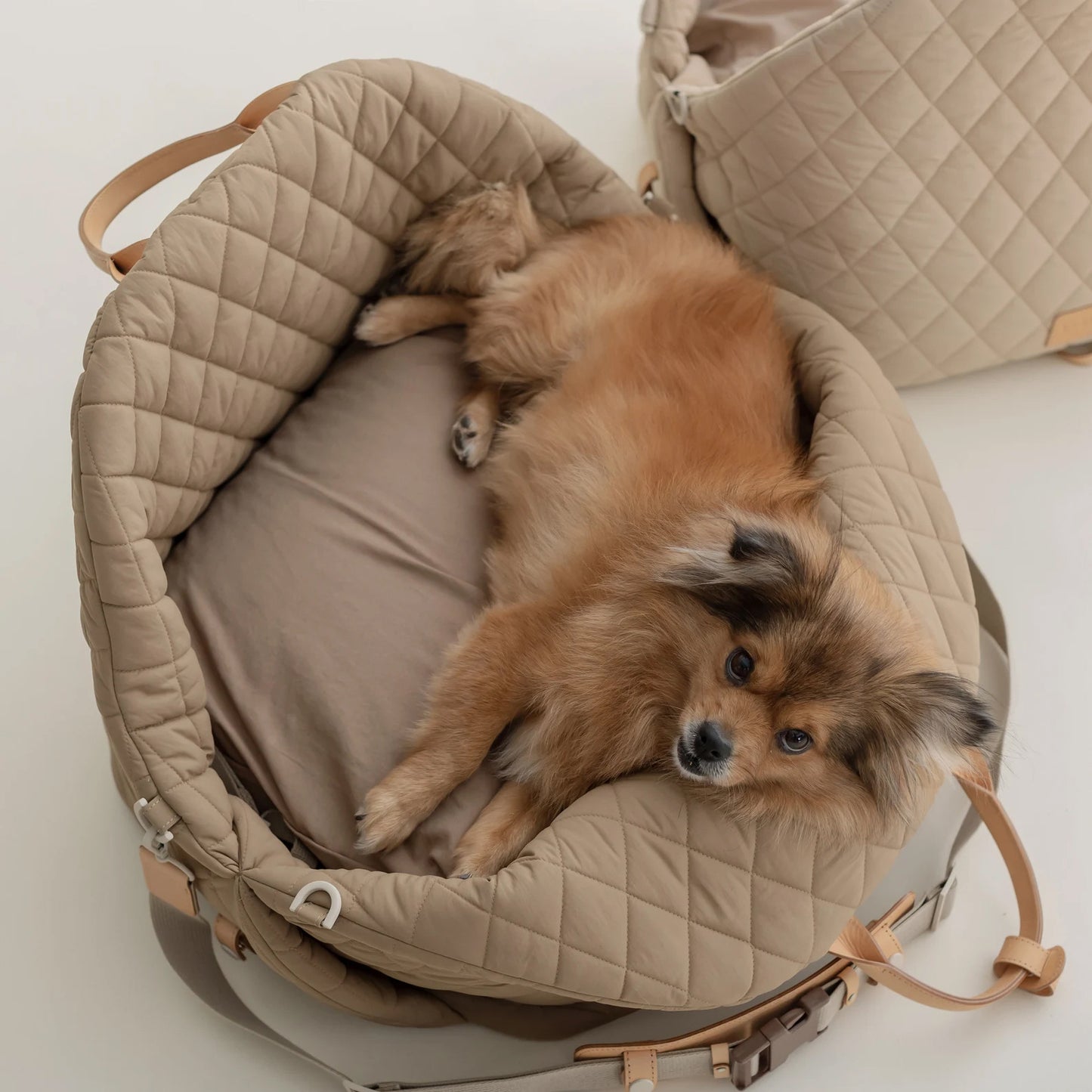 Spot Factory Direct Sales Cross-Border New Nylon Waterproof Pet Bag Car Pet Bag Cat Bag Removable Pet Nest