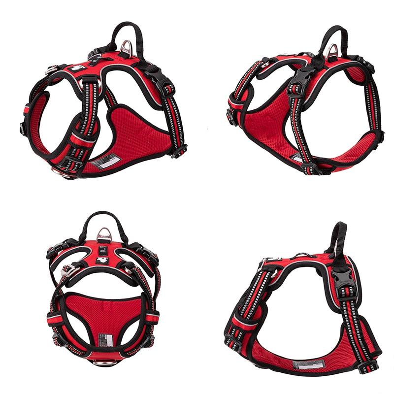 SafetyHarness™ - Harnais pour animal de compagnie - Coeur de Toutou