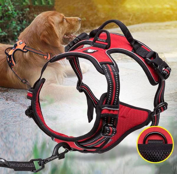 SafetyHarness™ - Harnais pour animal de compagnie - Coeur de Toutou