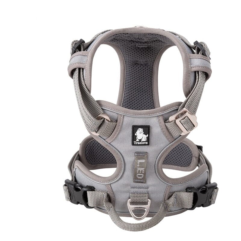 SafetyHarness™ - Harnais pour animal de compagnie - Coeur de Toutou