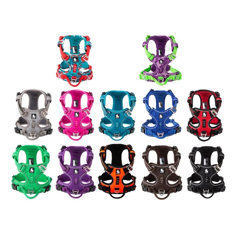 SafetyHarness™ - Harnais pour animal de compagnie - Coeur de Toutou