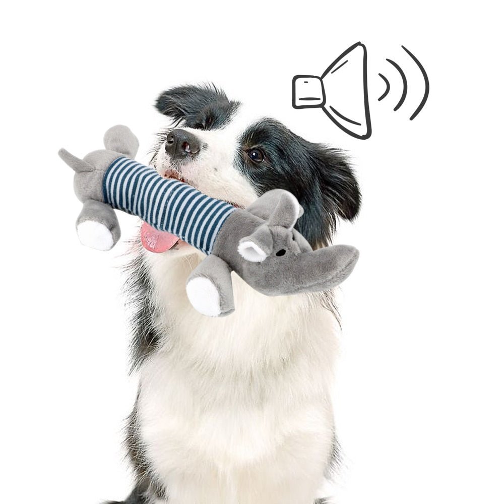 SoundToys™ - Jouet peluche pour chiens - Coeur de Toutou