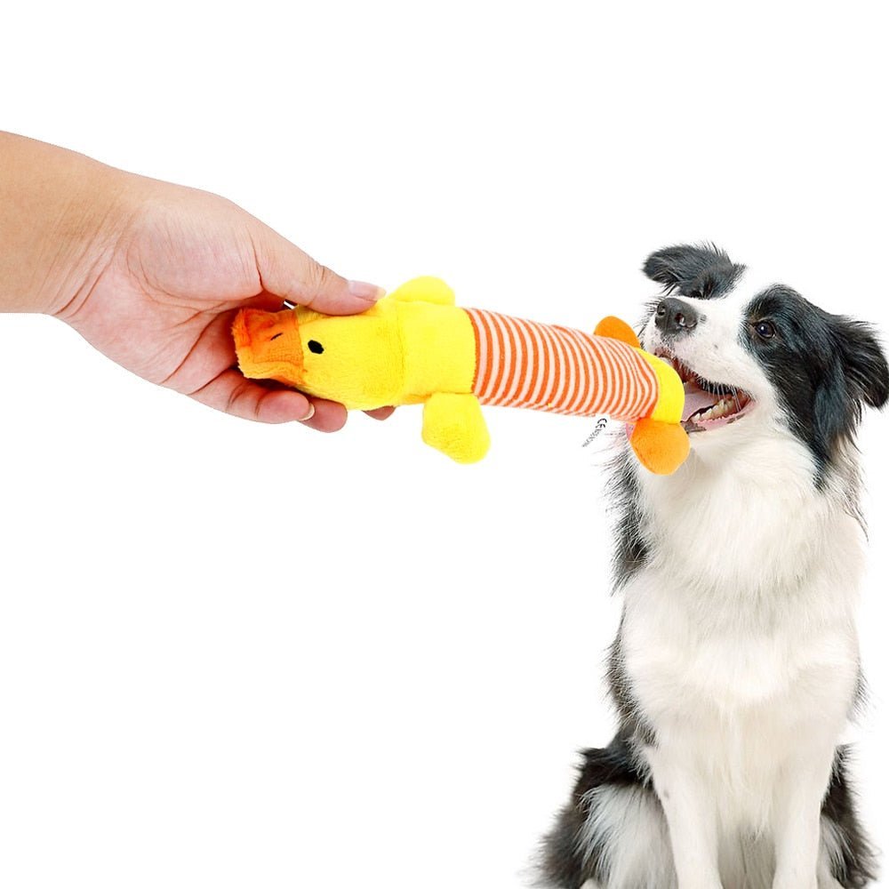 SoundToys™ - Jouet peluche pour chiens - Coeur de Toutou