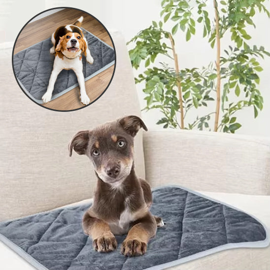 Tapis Chauffant pour Chien et Chat | CosyThermo™