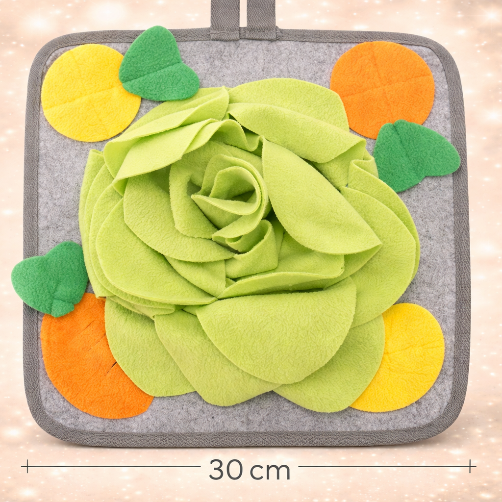 tapis de fouille chien