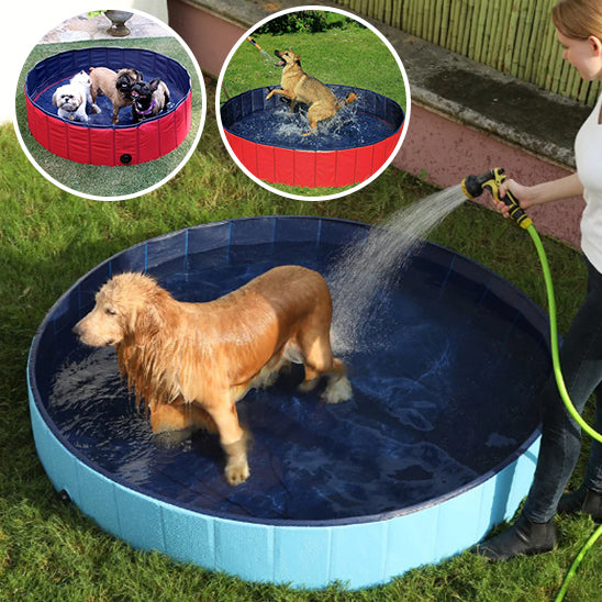 Tapis Piscine pour Chien | AquaPaws™ - Fraîcheur & Jeu Sous le Soleil