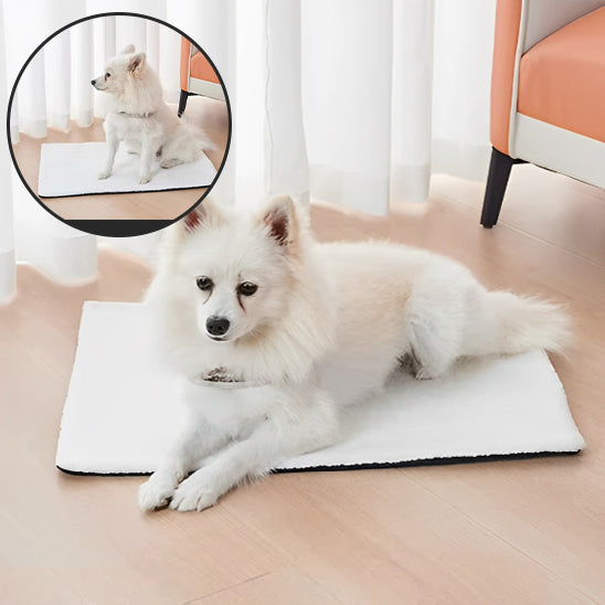 Tapis Auto-Chauffant pour Chien | HeatNest™