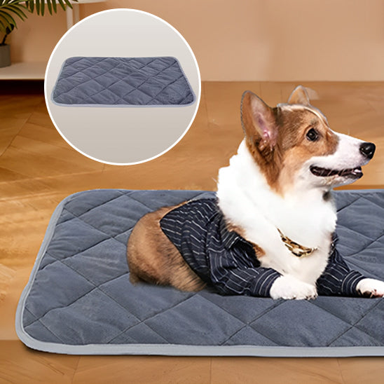 Tapis Chauffant pour Chien et Chat | CosyThermo™
