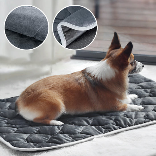 Tapis Chauffant pour Chien et Chat | CosyThermo™