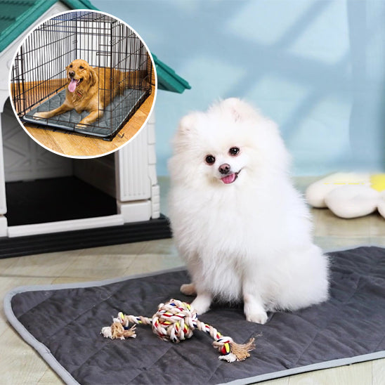 Tapis Chauffant pour Chien et Chat | CosyThermo™
