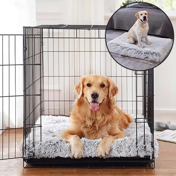 tapis-pour-chien-pratique
