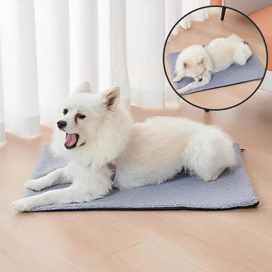 Tapis Auto-Chauffant pour Chien | HeatNest™