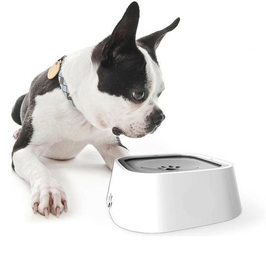 WaterBowl™ | Bol pour chien | CHIEN - Coeur de Toutou