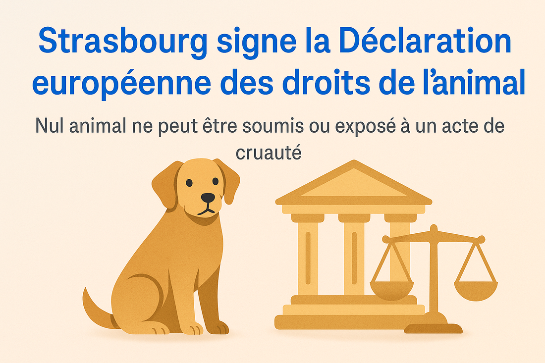 🏛️ Strasbourg, capitale européenne du droit animal : une signature historique