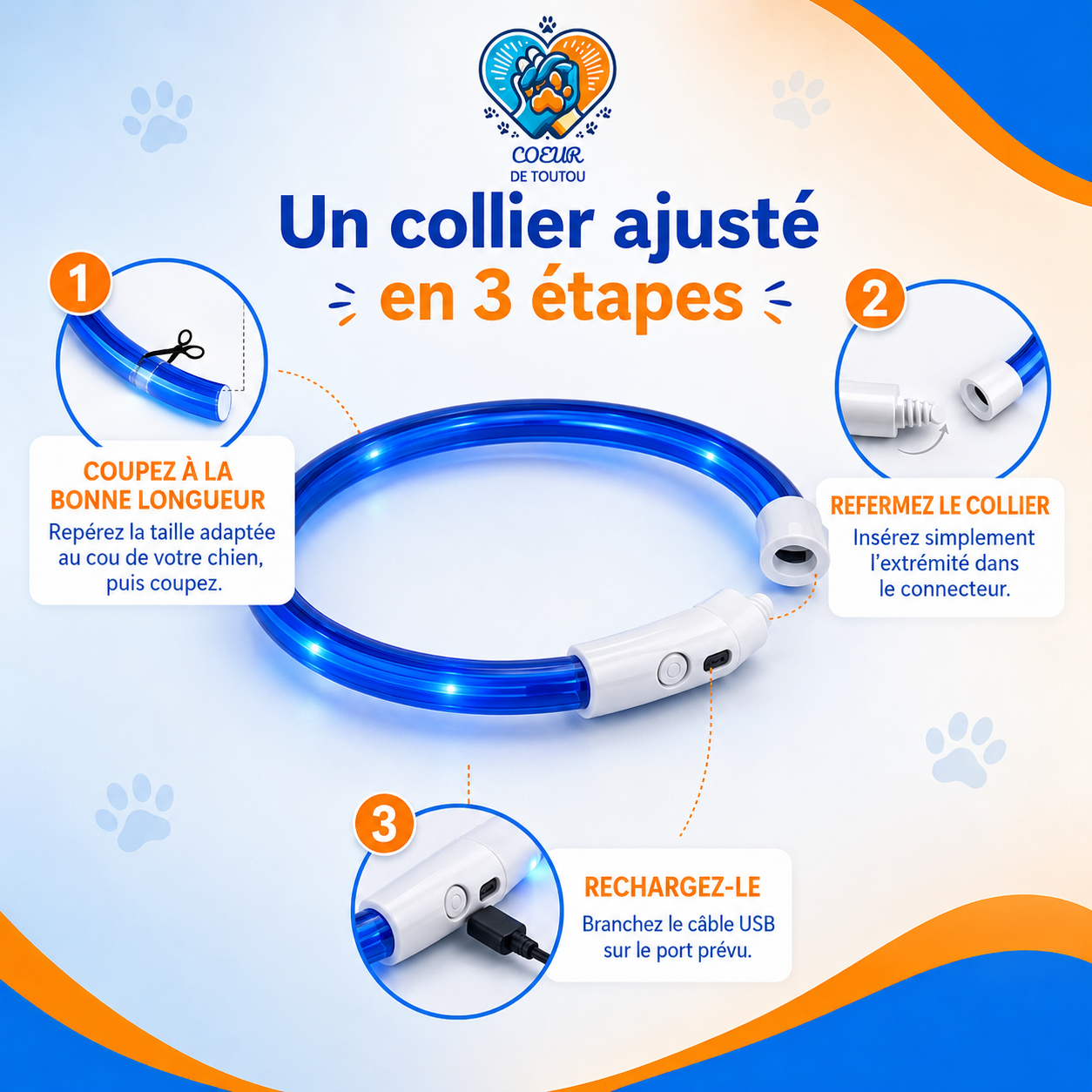 collier lumineux pour chien