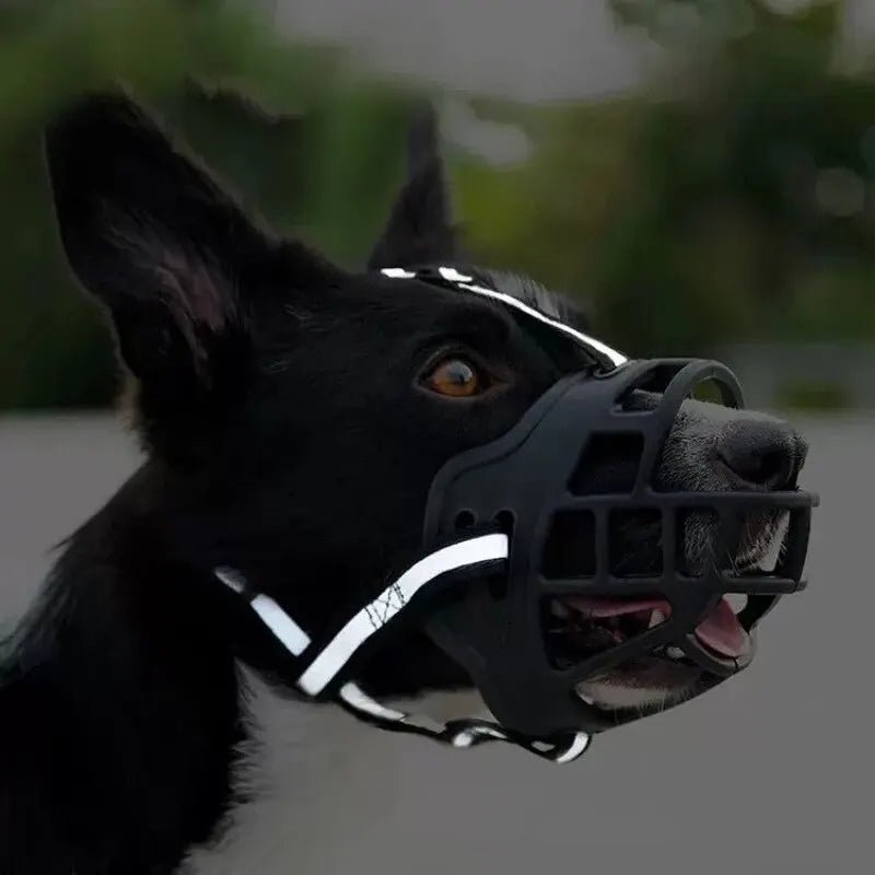 Anti - BarkDog™ - Coeur de Toutou