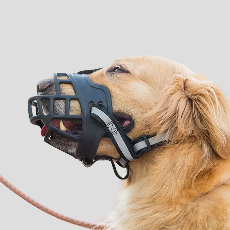 Anti - BarkDog™ - Coeur de Toutou