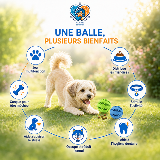 Balle à friandises pour chien GourmiBall™ | Jouet interactif