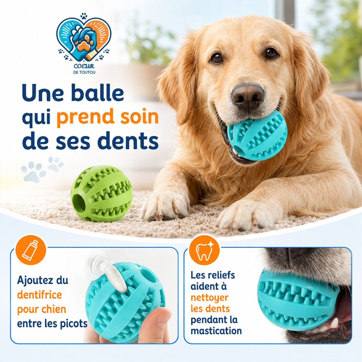 balle chien