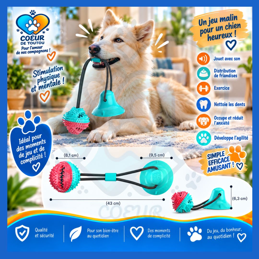 jouet pour chien ventouse