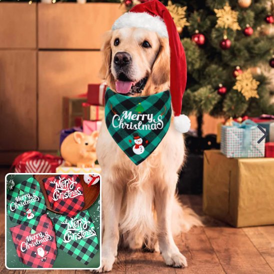 Bandana chien 