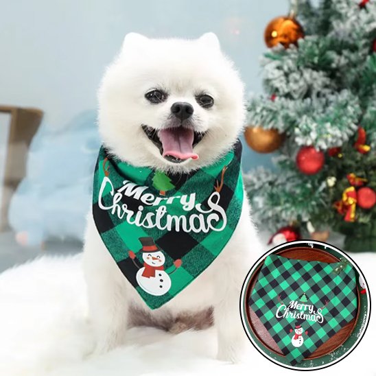 Bandana chien 