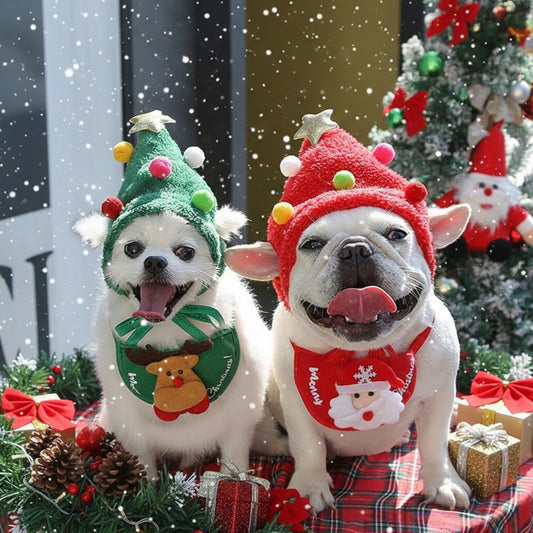 deguisement pour chien