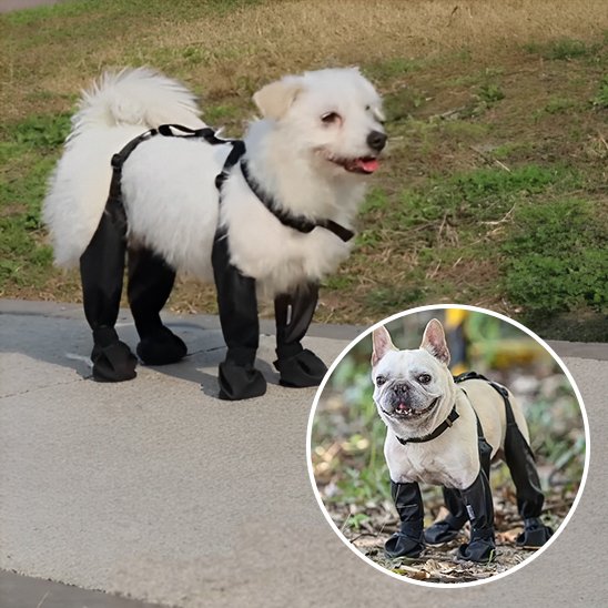 Bottes pour chien