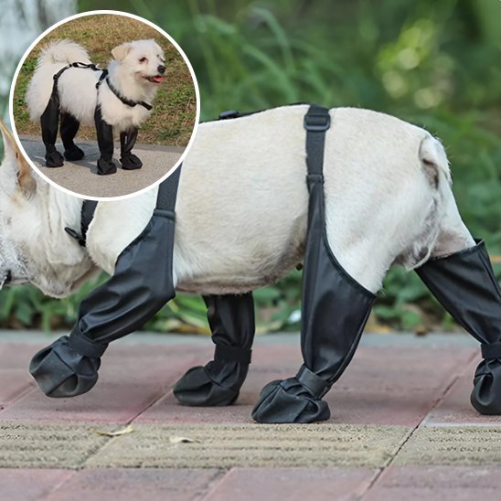 Bottes pour chien