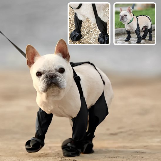 Bottes pour chien