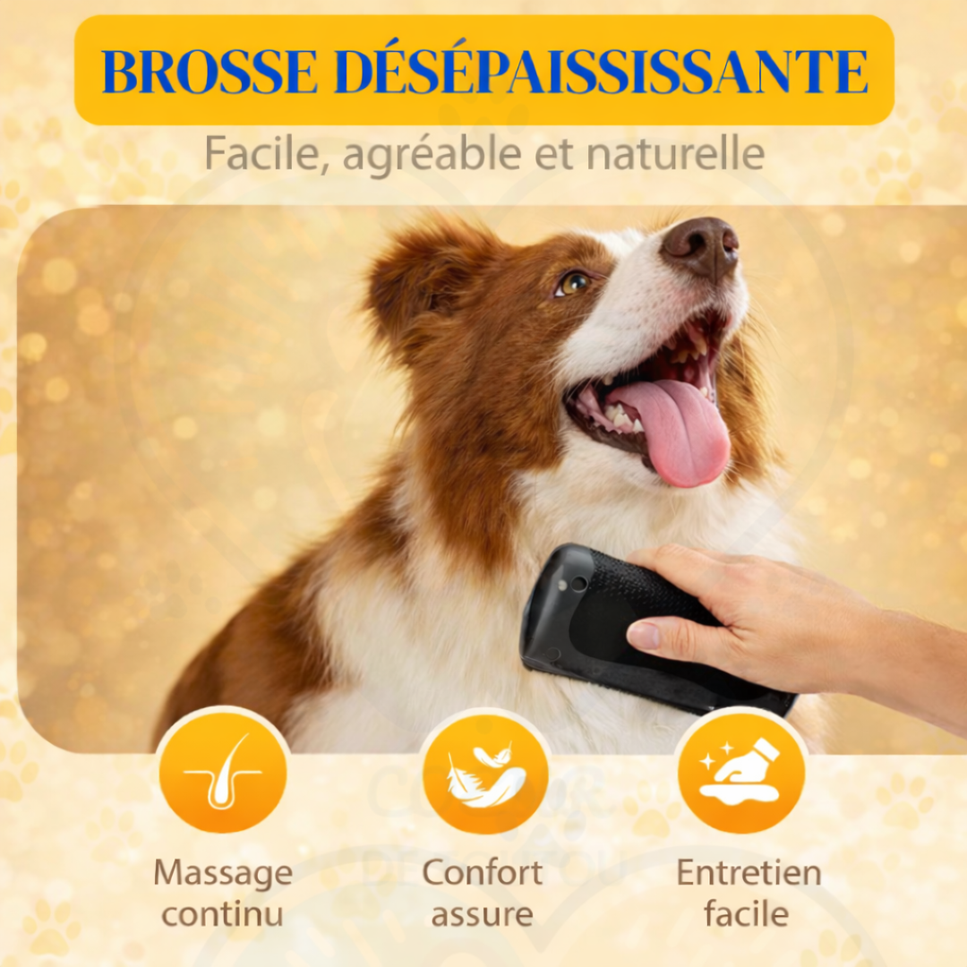 Brosse démêlante anti-poils pour chien et chat | SilkFur™