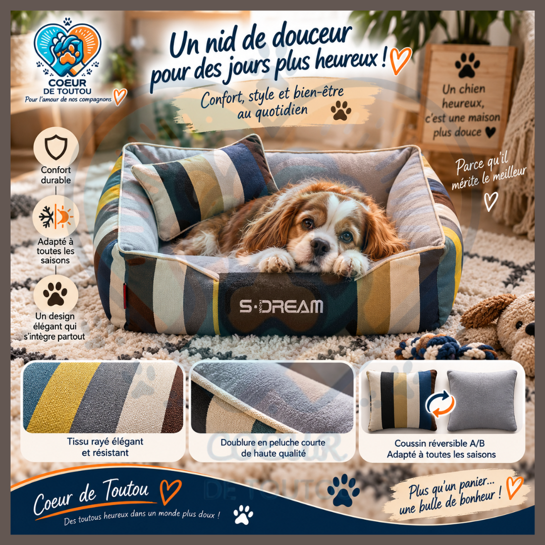 Canapé pour chien chic et déhoussable | Canapé Cabotin™