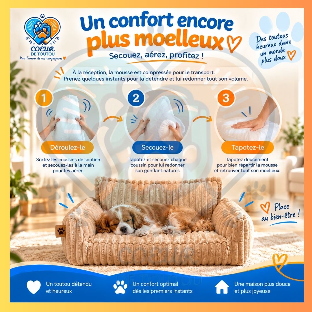 canapé orthopédique pour chien