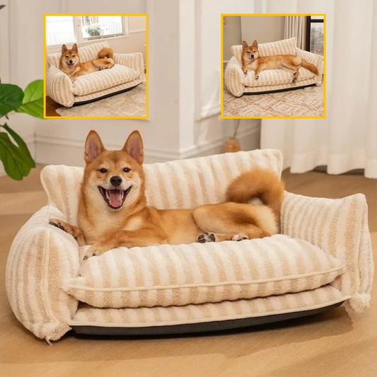 Canapé pour chien orthopédique | CozyLamb™